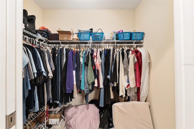view of walk in closet