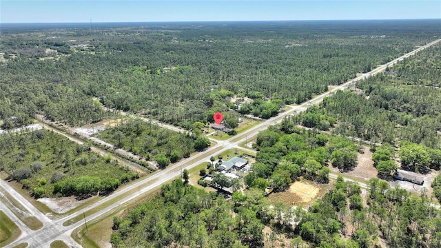 bird's eye view with a view of trees