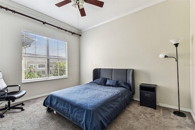 402 S Armenia Ave Unit 137, Tampa, FL 33609 - photo 12