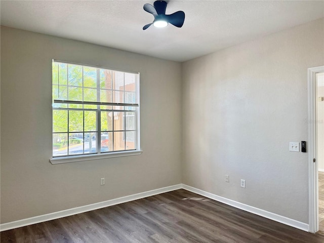 17114 Carrington Park Dr Unit 207, Tampa, FL 33647 - photo 8
