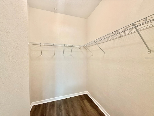 17114 Carrington Park Dr Unit 207, Tampa, FL 33647 - photo 9