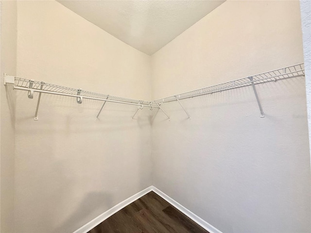 17114 Carrington Park Dr Unit 207, Tampa, FL 33647 - photo 12
