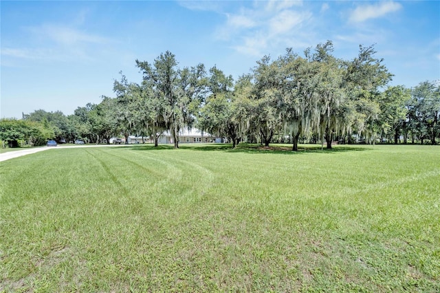 9017 S County Line Rd, Lithia, FL 33547 - photo 5