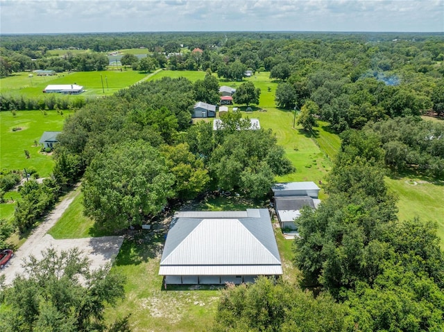 9017 S County Line Rd, Lithia, FL 33547 - photo 31