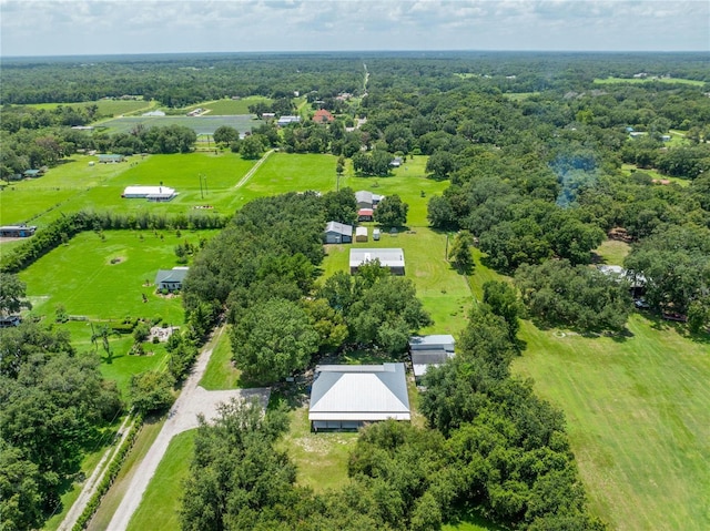 9017 S County Line Rd, Lithia, FL 33547 - photo 33