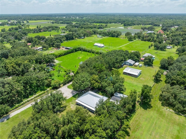 9017 S County Line Rd, Lithia, FL 33547 - photo 35