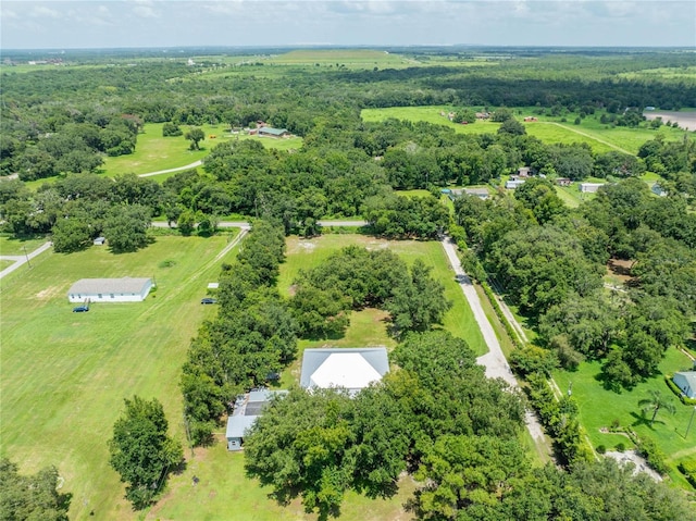 9017 S County Line Rd, Lithia, FL 33547 - photo 41