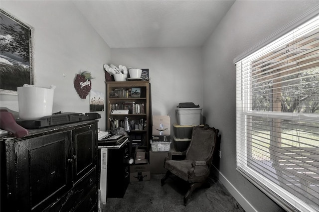 9017 S County Line Rd, Lithia, FL 33547 - photo 58