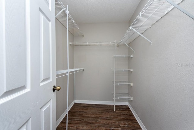 18001 Richmond Place Dr Unit 1032, Tampa, FL 33647 - photo 28