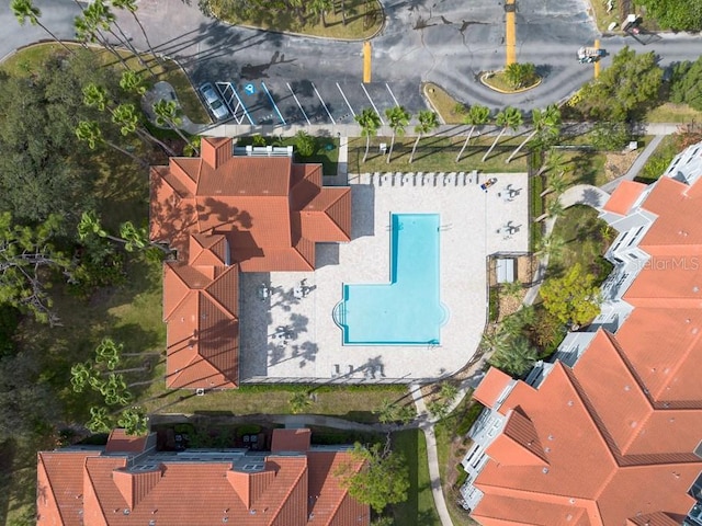 18001 Richmond Place Dr Unit 1032, Tampa, FL 33647 - photo 49