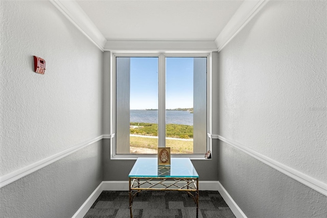 sunroom with a water view