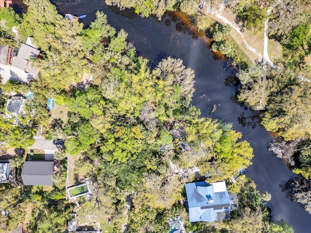 57 Hamilton Heath Dr, Tampa, FL 33604 - photo 3