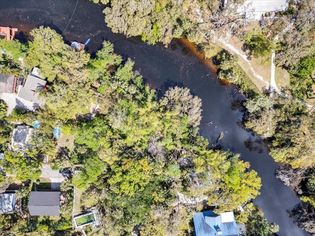 57 Hamilton Heath Dr, Tampa, FL 33604 - photo 4