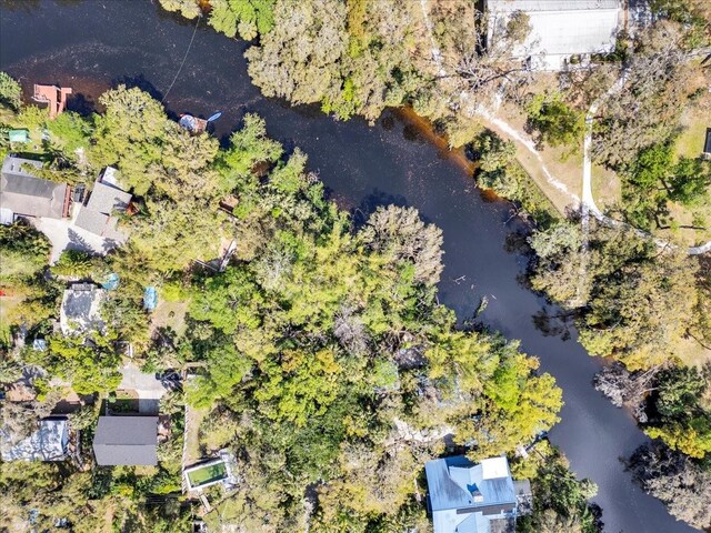 57 Hamilton Heath Dr, Tampa, FL 33604 - photo 5