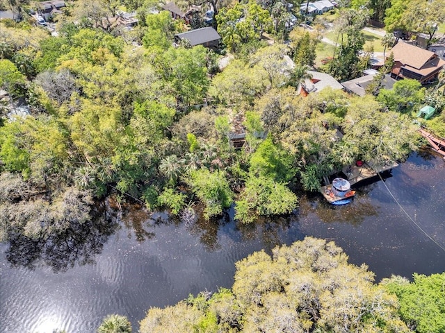 57 Hamilton Heath Dr, Tampa, FL 33604 - photo 12