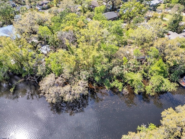57 Hamilton Heath Dr, Tampa, FL 33604 - photo 13