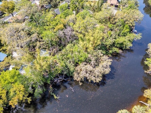 57 Hamilton Heath Dr, Tampa, FL 33604 - photo 14