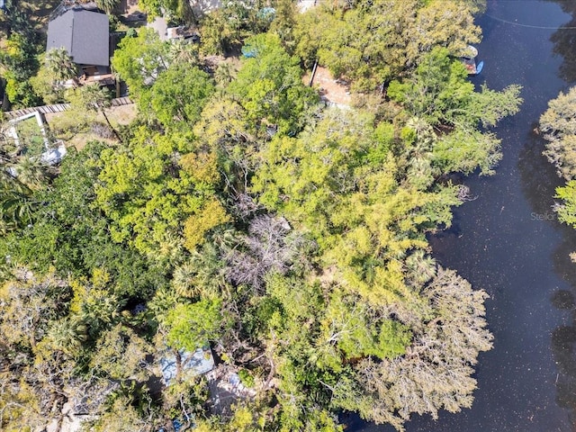 57 Hamilton Heath Dr, Tampa, FL 33604 - photo 16
