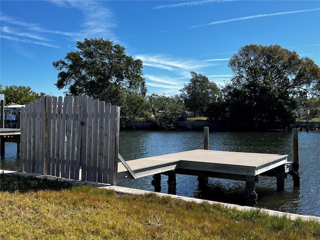 dock area with a water view