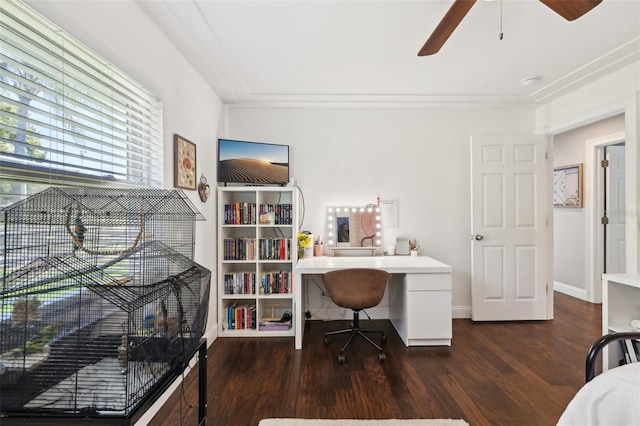 954 Cobblestone Ln, Tarpon Springs, FL 34688 - office space with baseboards, wood finished floors, and a ceiling fan