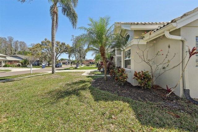 954 Cobblestone Ln, Tarpon Springs, FL 34688 - view of yard featuring a residential view