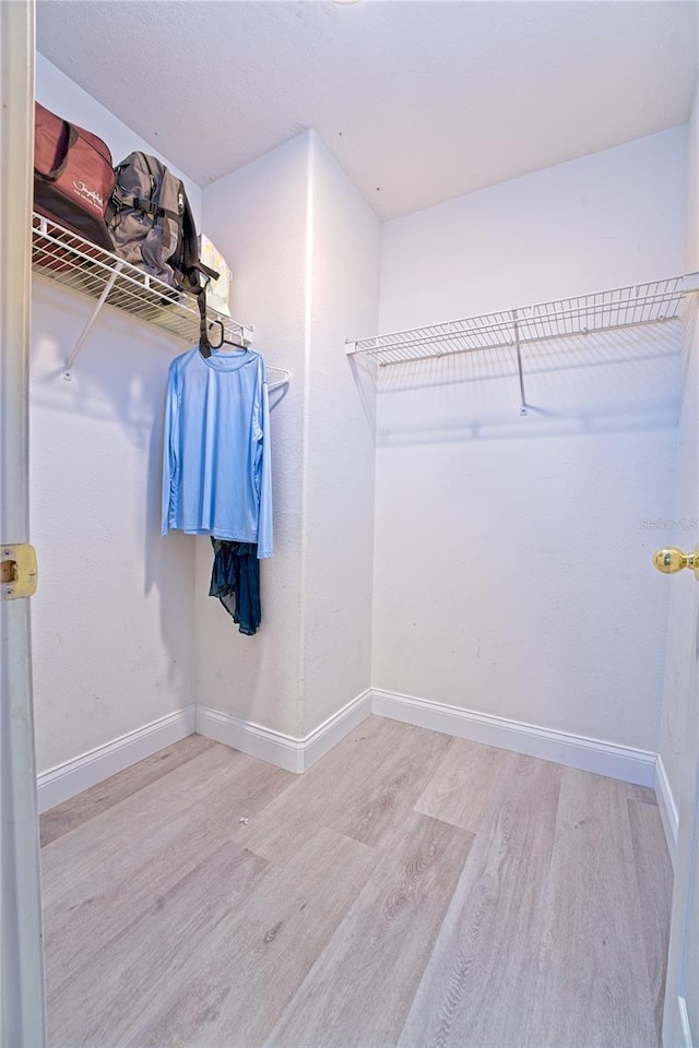walk in closet featuring wood finished floors