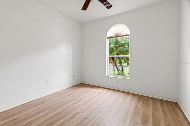 30829 Iverson Dr, Wesley Chapel, FL 33543 - photo 8