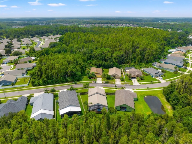 30829 Iverson Dr, Wesley Chapel, FL 33543 - photo 36