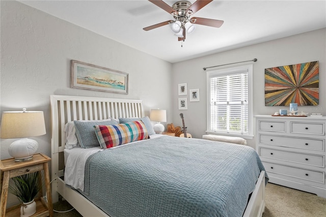 145 38th Ave NE, Saint Petersburg, FL 33704 - photo 18