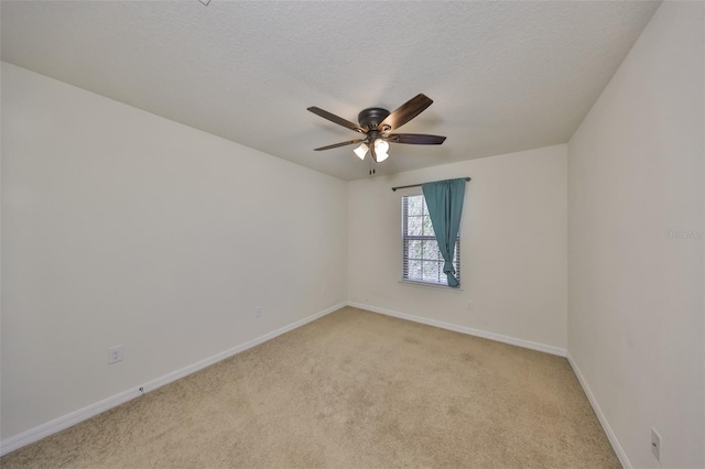 8306 Red Spruce Ave, Riverview, FL 33578 - photo 31