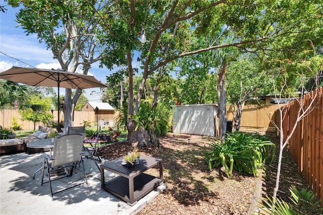view of yard featuring a patio, an outdoor structure, a shed, and a fenced backyard