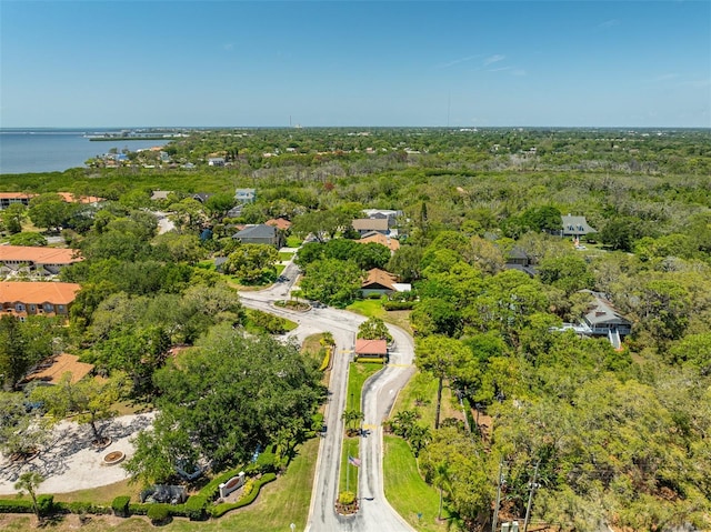 1720 Mariner Way, Tarpon Springs, FL 34689 - photo 88