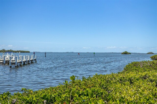 1720 Mariner Way, Tarpon Springs, FL 34689 - photo 93