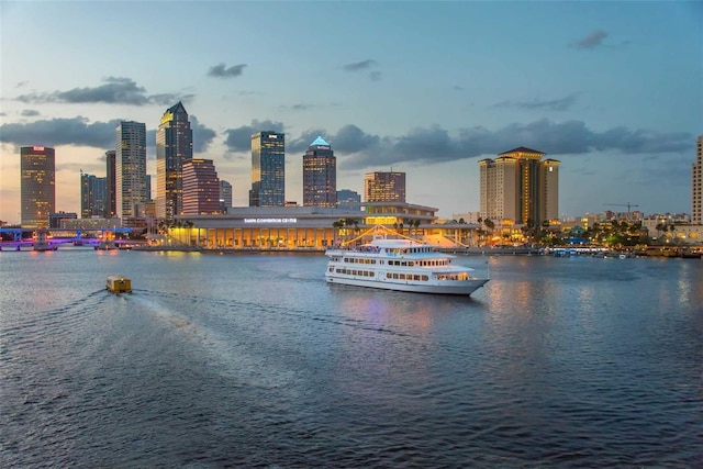 1108 W Charter St, Tampa, FL 33602 - water view with city skyline