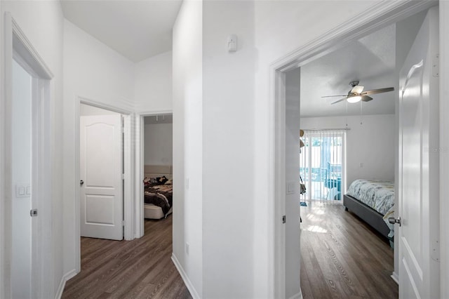 8528 Quarter Horse Dr, Riverview, FL 33578 - hall with dark wood-style floors and baseboards