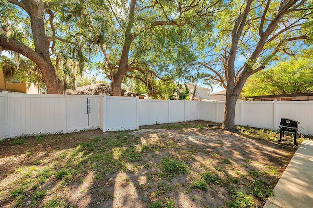 8528 Quarter Horse Dr, Riverview, FL 33578 - view of fenced backyard