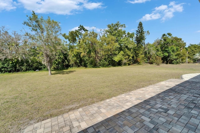 1929 New Bedford Dr, Sun City Center, FL 33573 - photo 58