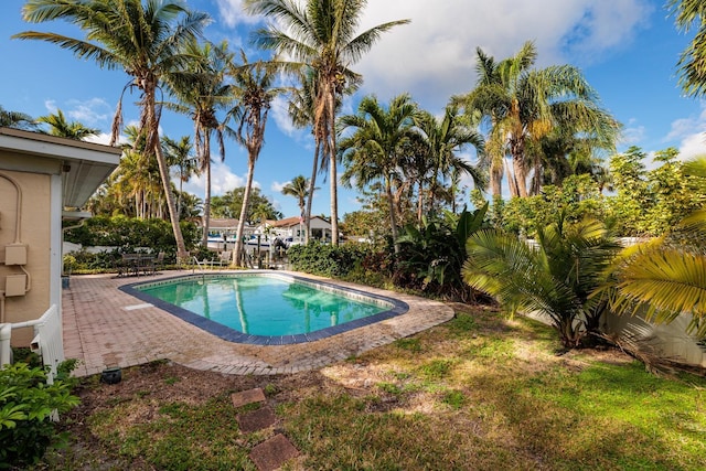 view of swimming pool with a fenced in pool and a patio area
