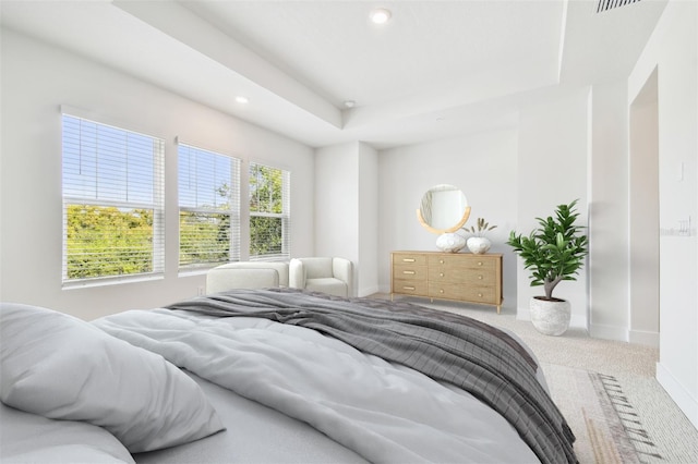 6605 N Nebraska Ave Unit 28, Tampa, FL 33604 - carpeted bedroom featuring baseboards, recessed lighting, and a tray ceiling