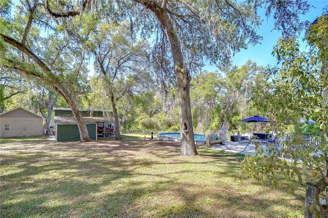 view of yard featuring an outdoor pool, an outbuilding, a patio, and a storage shed