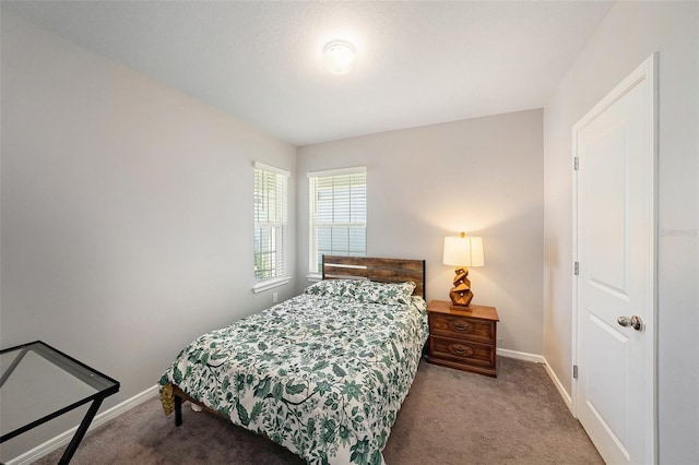 30364 Marquette Ave, Wesley Chapel, FL 33545 - bedroom featuring carpet and baseboards