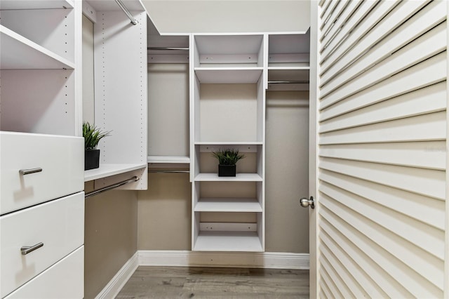 100 4th Ave S Unit 220, Saint Petersburg, FL 33701 - walk in closet with wood finished floors