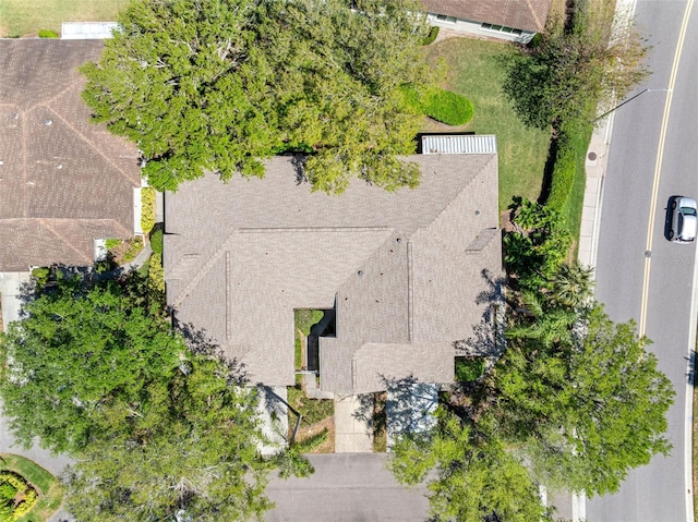 bird's eye view