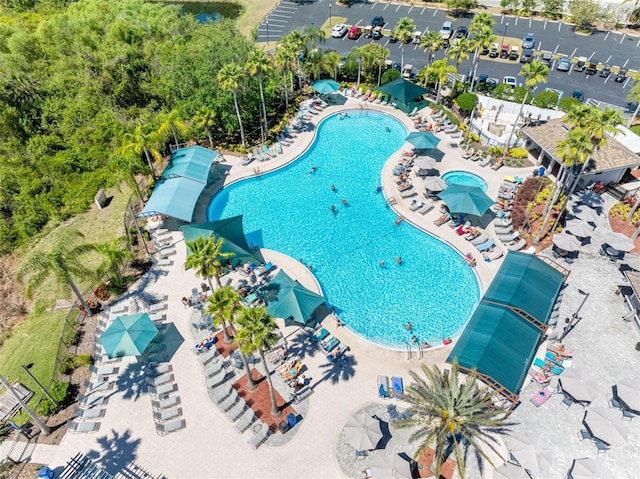 drone / aerial view