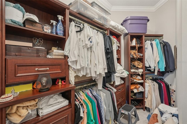 walk in closet with carpet flooring