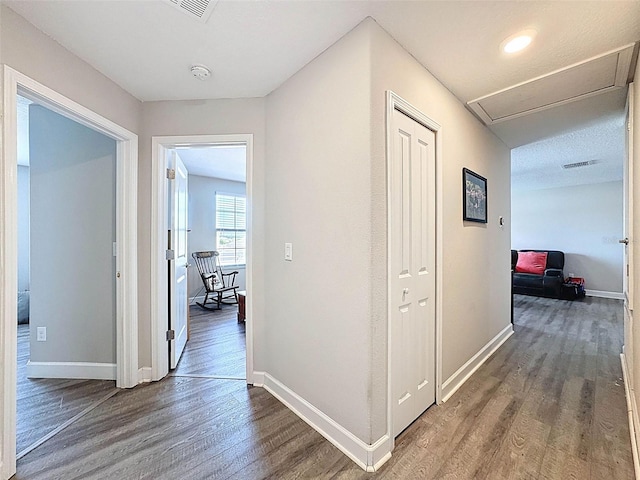 32101 Goddard Dr, Wesley Chapel, FL 33543 - photo 26