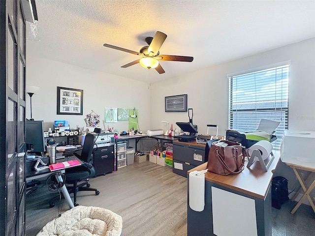 32101 Goddard Dr, Wesley Chapel, FL 33543 - photo 32