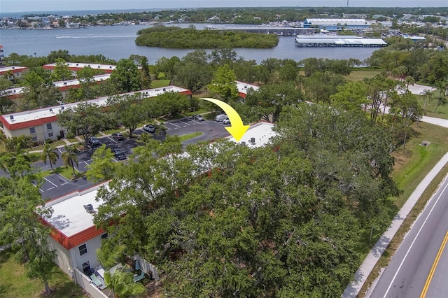 2700 Bayshore Blvd Unit 588, Dunedin, FL 34698 - aerial view of a large body of water