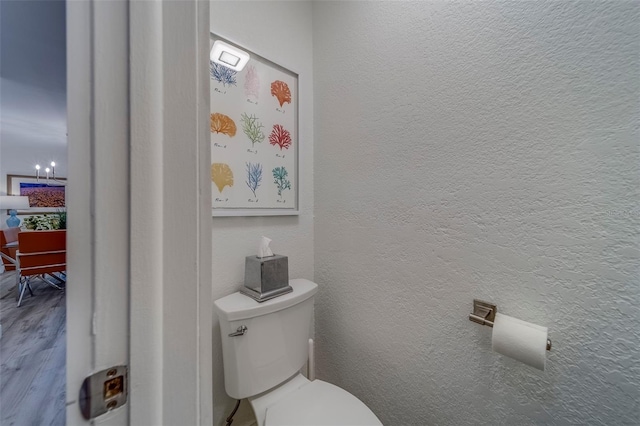 2700 Bayshore Blvd Unit 588, Dunedin, FL 34698 - bathroom with a textured wall and wood finished floors
