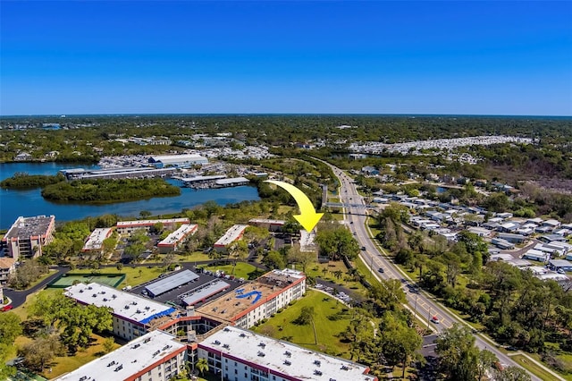 2700 Bayshore Blvd Unit 588, Dunedin, FL 34698 - aerial view of a large body of water